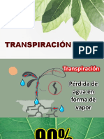 06.1 Transpiración, Movimientos Estomáticos