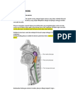 Anatomi Pharynx