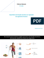 Sistema Excretor - 9ºano