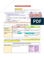 Patología Inflamación