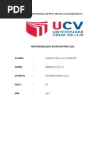 Responsabilidad Extracontractual