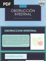 Obstrucción Intestinal