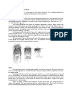 Principal Parts of A Grass Plant