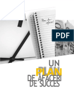 Plan de Afaceri de Succes