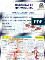 Mapa Conceptual de Fisiologia