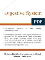 Digestive System