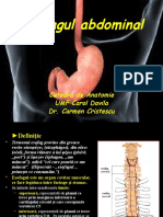 Esofagul Abdominal