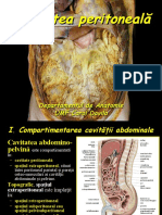 Cavitatea Peritoneală