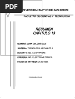 Resumen Cap 13