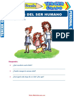 Etapas Del Ser Humano para Tercer Grado de Primaria