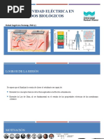 Semana 3 - Conductividad Electrica