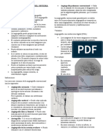 Anatomia Por Imágenes Del Sistema Vascular