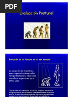 Evaluacion Postural