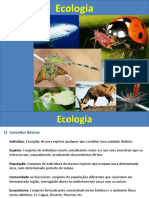 Aula Ecologia