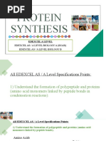 EDEXCEL A Level Protein Synthesis