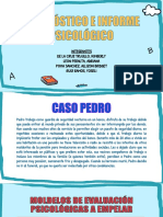 Caso Pedro