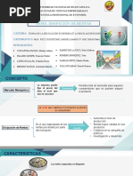 Disipacion de Rentas Final