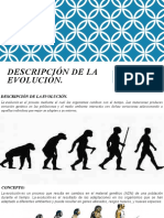 Descripción de La Evolución