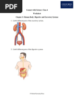 CWS Class 4 Chapter 3 Human Body Digestive and Excretory Systems