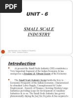 Unit 6 Small Scale Industries