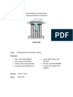 TP Fisio Práctica Endocrino