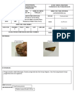 Universitas Gadjah Mada Laboratorium Paleontologi Coelenterata Dan Echinodermata