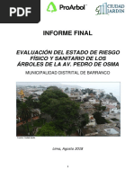 Informe Final - Av. Pedro de Osma