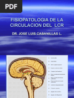 Fisiopatologia de La Circulacion Del LCR