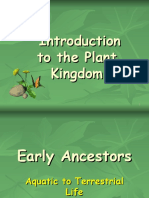 Introduction To Plants