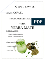 Yerba Mate