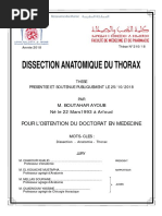 Anatomie Du Thorax (Dissection)