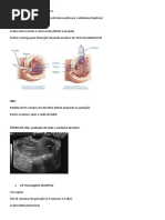 Ultrassonografia Obstétrica