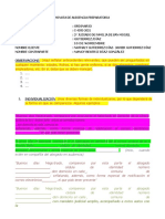 Minuta Audiencia Preparatoria Raf