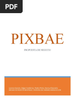 Proyecto Final PIXBAE