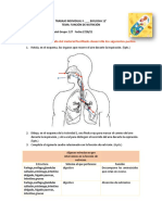 Función de Nutrición