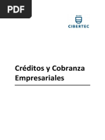 Manual 2020 02 Créditos y Cobranzas Empresariales (1954)