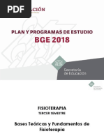 SEM3 Bases Teóricas y Fundamentos de Fisioterapia