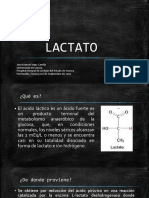 Lactato 161003000147