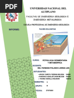 Informe Facies Eclogitas