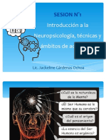 Sesion 01 - Introducción A La Neuropsicologia