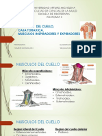 Musculos Del Cuello, Caja Toracica, Inspiradores y Expiradores