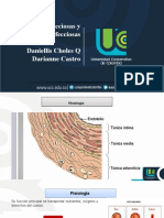 Vasculitis Infecciosa y No Infecciosa