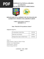 Reporte 13-HACCP - Grupo 2