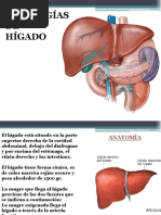 Patologías Hepaticas Tema X