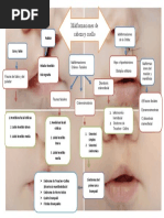 Mapa Mental Cabeca y Cuello