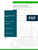 Andamio Cognitivo. Funciones Del Pulmón