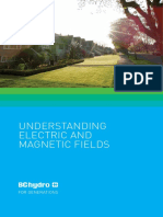 Understanding-Electric-Magnetic-Fields 2013