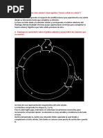 Solucion Actividades Ciclo Celular