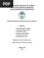 Trabajo N°3 - Enfoque de Sistemas