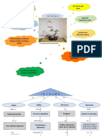 Ejemplo Ikebana Mapa Mental, Conceptual, Csinóptico 2021